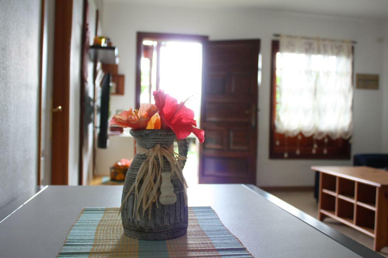 Apartamentos con jardin y pescina Puerto de la Cruz  Extérieur photo